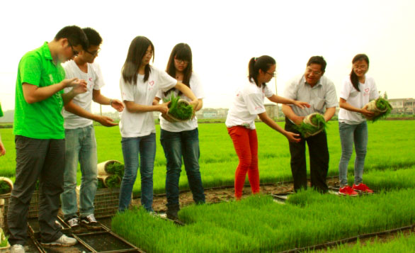 ��ꎎ����WԺ���Gɫ���ۡ����`�־Ը����ˮ�����g�M���w�ʽ������