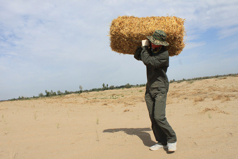 �F(tu��n)�T���i�������ݣ����ϳ����������������؟(z��)����